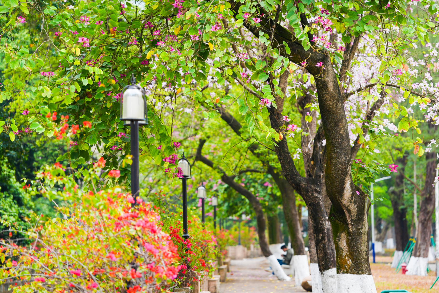 春暖花开,2025年春季学期开学了